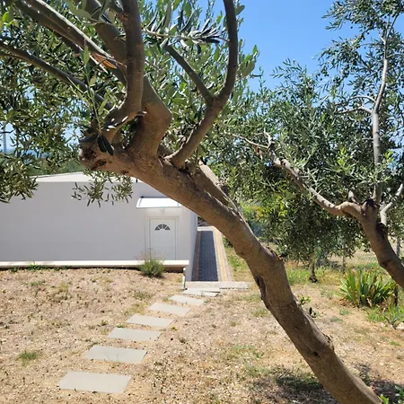 Summerhouse Calypso ספליט