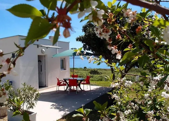 Summerhouse Calypso Apartment *